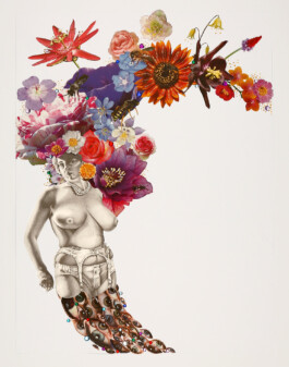 Kathrin Heyer Beckum Warendorf Kunst Kunstverein Collage Druckgraphik Installation Malerei Illustration Rhizom