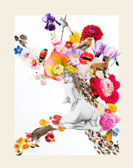 Kathrin Heyer Beckum Warendorf Kunst Kunstverein Collage Druckgraphik Installation Malerei Illustration Rhizom