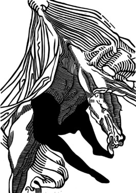 Kathrin Heyer Beckum Warendorf Kunst Kunstverein Collage Druckgraphik Installation Malerei Illustration Rhizom