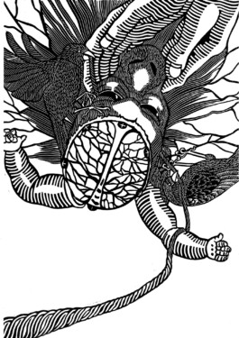 Kathrin Heyer Beckum Warendorf Kunst Kunstverein Collage Druckgraphik Installation Malerei Illustration Rhizom