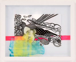 Kathrin Heyer Beckum Warendorf Kunst Kunstverein Collage Druckgraphik Installation Malerei Illustration Rhizom