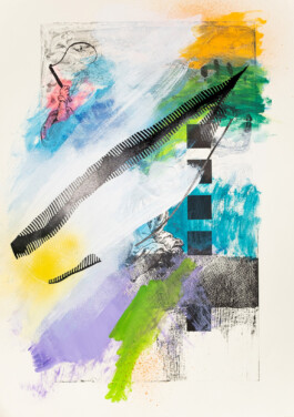 Kathrin Heyer Beckum Warendorf Kunst Kunstverein Collage Druckgraphik Installation Malerei Illustration Rhizom