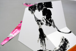 Kathrin Heyer Beckum Warendorf Kunst Kunstverein Collage Druckgraphik Installation Malerei Illustration Rhizom