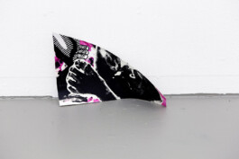 Kathrin Heyer Beckum Warendorf Kunst Kunstverein Collage Druckgraphik Installation Malerei Illustration Rhizom