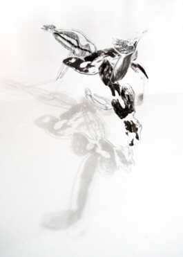 Kathrin Heyer Beckum Warendorf Kunst Kunstverein Collage Druckgraphik Installation Malerei Illustration Rhizom