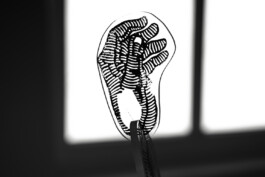 Kathrin Heyer Beckum Warendorf Kunst Kunstverein Collage Druckgraphik Installation Malerei Illustration Rhizom