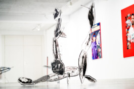 Kathrin Heyer Beckum Warendorf Kunst Kunstverein Collage Druckgraphik Installation Malerei Illustration Rhizom