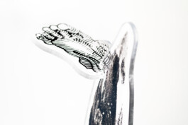 Kathrin Heyer Beckum Warendorf Kunst Kunstverein Collage Druckgraphik Installation Malerei Illustration Rhizom