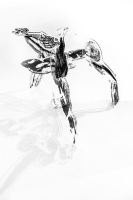 Kathrin Heyer Beckum Warendorf Kunst Kunstverein Collage Druckgraphik Installation Malerei Illustration Rhizom