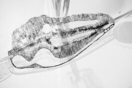 Kathrin Heyer Beckum Warendorf Kunst Kunstverein Collage Druckgraphik Installation Malerei Illustration Rhizom