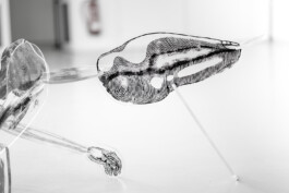 Kathrin Heyer Beckum Warendorf Kunst Kunstverein Collage Druckgraphik Installation Malerei Illustration Rhizom